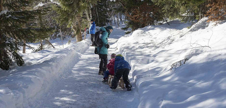 winter-haid013
