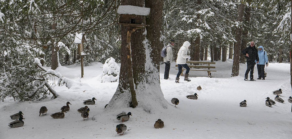 winter-haid014